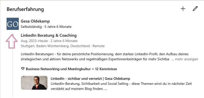 Screenshot LinkedIn-Profil Gesa Oldekamp mit Anzeige des Unternehmenslogos in der Berufserfahrung
